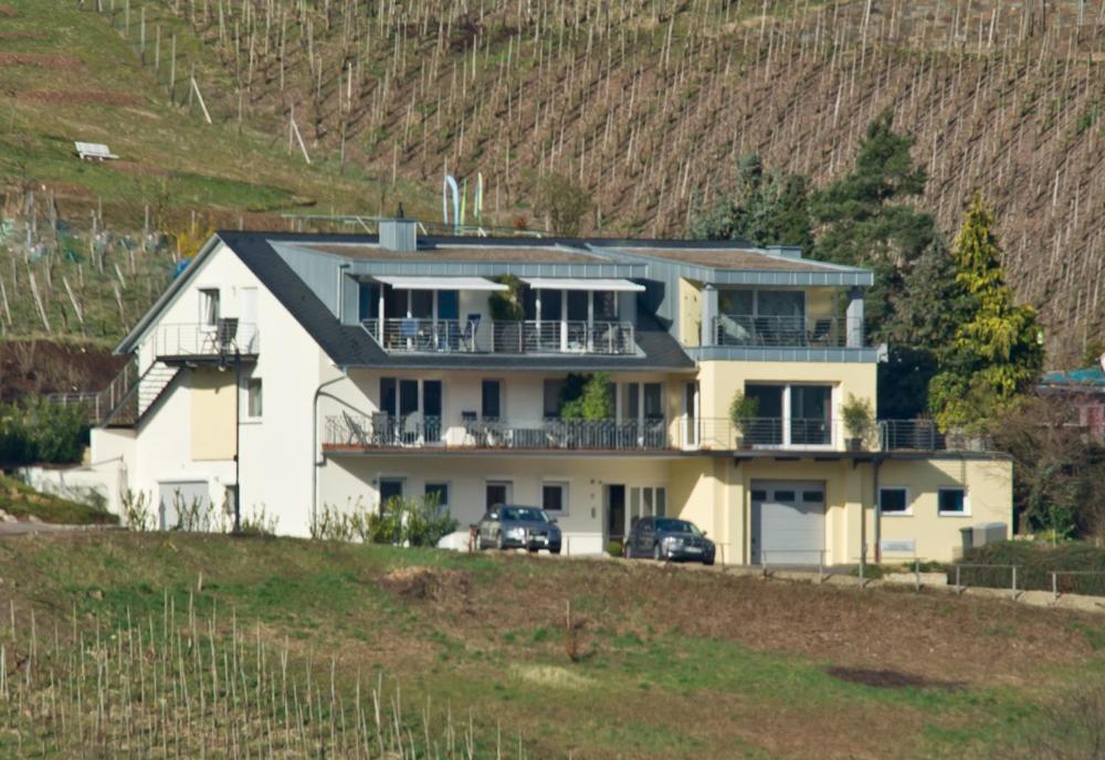 Ferienhaus Panorama Mosel Reil Exterior photo