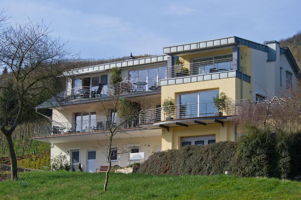 Ferienhaus Panorama Mosel Reil Exterior photo
