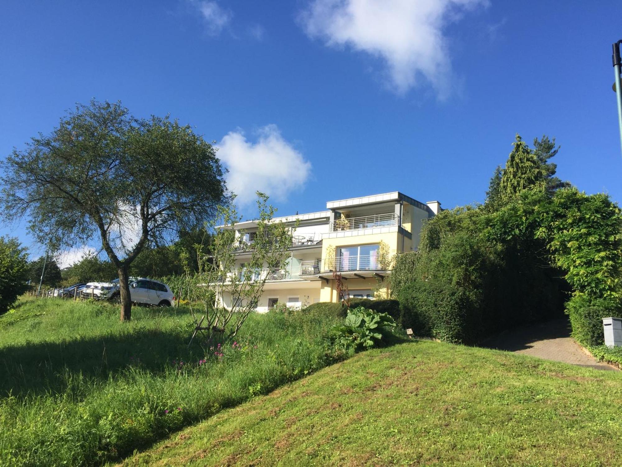 Ferienhaus Panorama Mosel Reil Exterior photo
